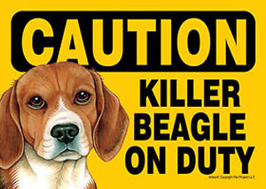 Killer Beagle On Duty Dog Sign Magnet Hook & Loop Fastener 5x7 