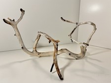 Manzanita Driftwood, Reptile Tank Decor, Aquascape, Terrarium, Aquarium Wood