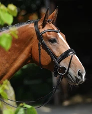Passier Atlas Contour Snaffle Bridle
