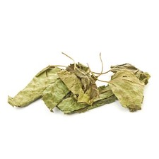 DRID MULBERRY LEAVES Crystal Red Cherry Shrimp Food Organic Mulberry Dried NEW