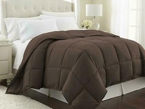 P10 Free Shipping 1 Piece Chocolate Solid Comforter Cotton 600 Tc Us Microfiber Fill Heavy Weight Cheapest Purchase Store Www Vikramdebcollege Ac In P10 Free Shipping 1 Piece Chocolate Solid Comforter Cotton 600 Tc Us Microfiber Fill Heavy Weight Cheapest Purchase Store Www Vikramdebcollege Ac In