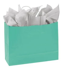 Paper Shopping Bags 100 Turquoise Blue Gift Merchandise 16” x 6” x 12” Large