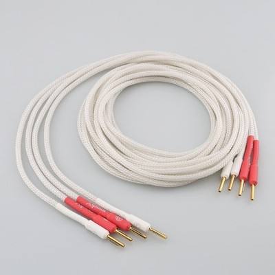 Paar High-End Sterling Silber HiFi Lautsprecher Kabel mit Reines Kupfer Banana
