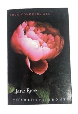 Jane Eyre Charlotte Bronte PB 2011 Gothic Romance Classic Literature Love Morals