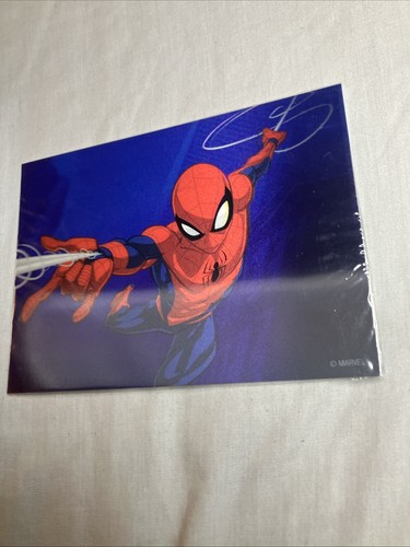 Lot Of Spiderman Memorabilia Rare Collectible - Picture 7 of 13