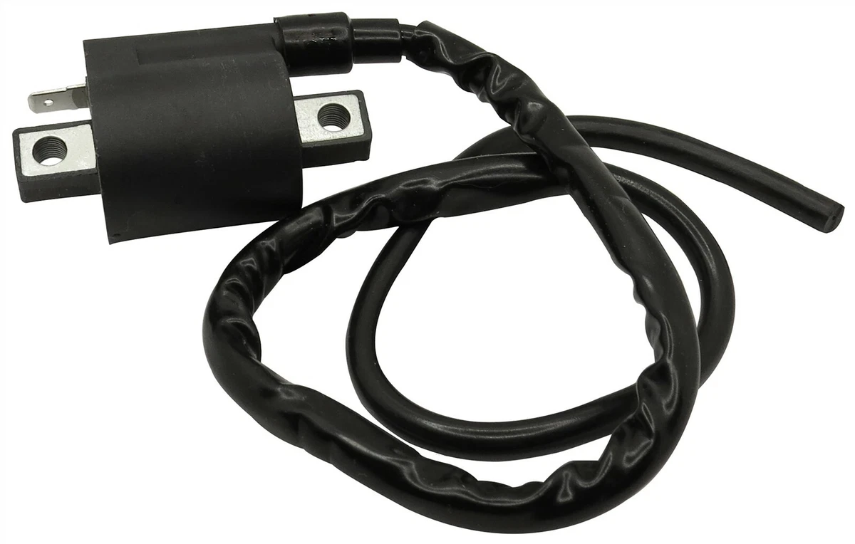 FLYPIG Ignition Coil for Yamaha 225 TTR225 TTR-225 Jamaica