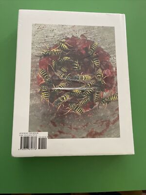 Juergen Teller Donkey Man and other stories -Rizzoli Editorial
