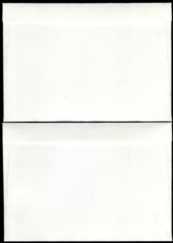251 - NORTH MACEDONIA 2020 - Fauna - Snakes -FDC - Picture 2 of 2