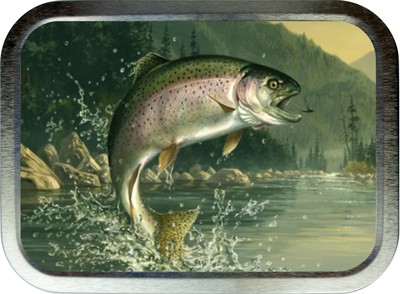 Types Of Trout In Mi At Christopher Cummings Blog - Foto 13