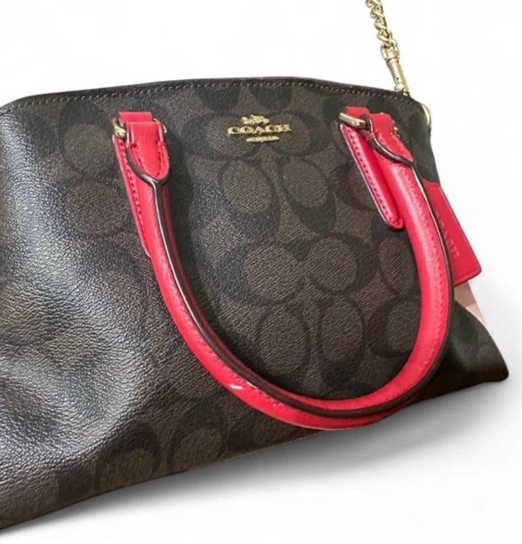 Mini Carryall Coach Lillie Signature Lona Colorblock Cuero Foto 4 de 4