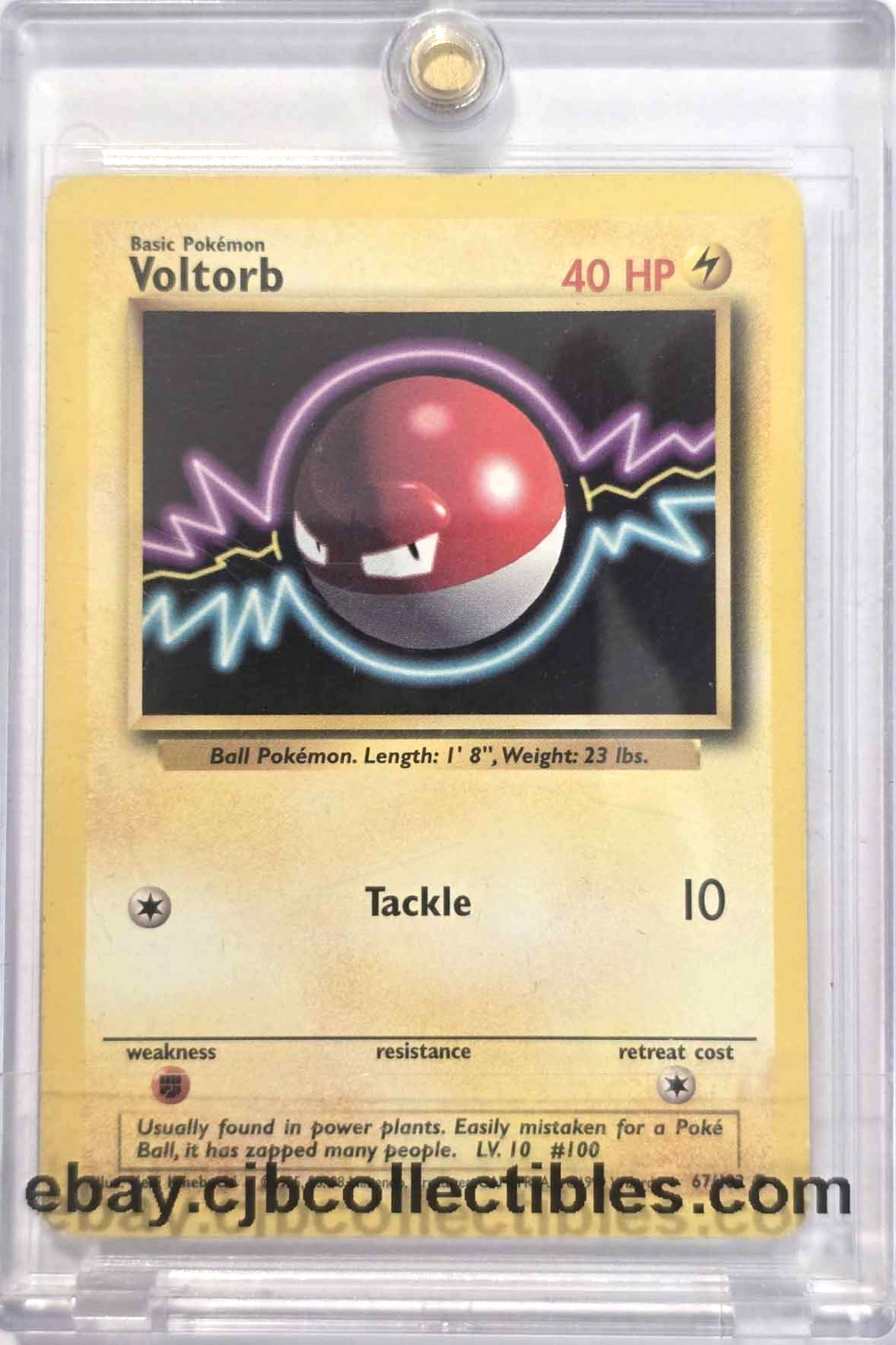 Pokémon VOLTORB 67/102 Base Set - Played 🍒