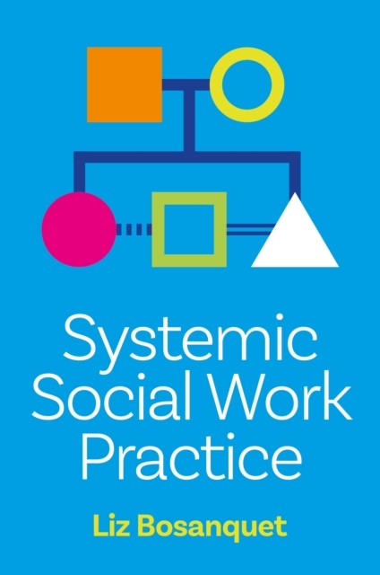 Systemic Social Work Practice by Liz Bosanquet - 9781805017806 - Image 3