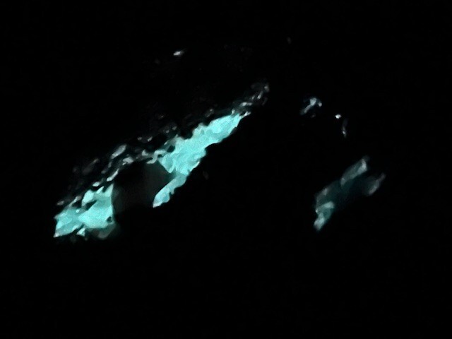 Bild 6 von 21