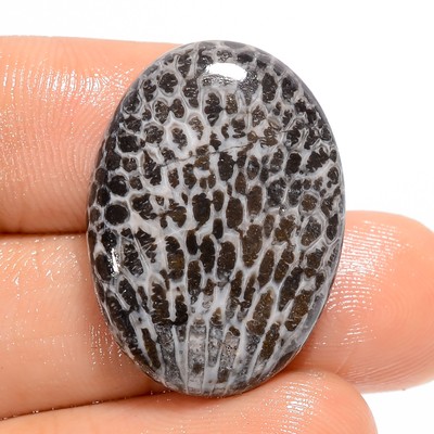 100% Natural Stingray Coral Oval Shape Cabochon Gemstone 23 Ct. 25X18X5 mm F-879