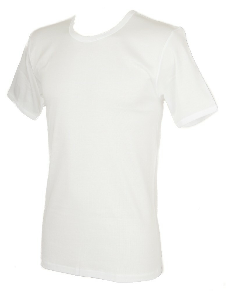 Футболка Herrenhemd с эмблемой Herren Baumwolle Filo Scozia RAGNO Artikel 9390₽