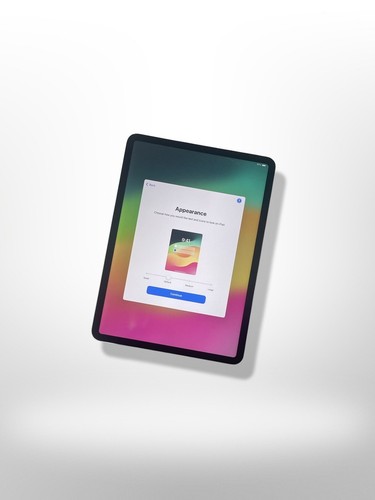 Apple iPad Pro 11” 3rd Gen. A2377/256GB/Wi-Fi/Silver/M1 Chip +Apple Pen 2nd Gen. - Afbeelding 16 van 21