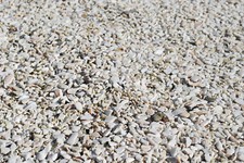 Oyster Shell Bird Grit is vital in bird digestion various uses Aquariums 1.7 lbs