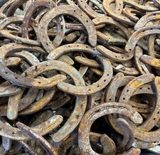 50 Used Rusty Horseshoes from Texas Cowboy Crafting Welding