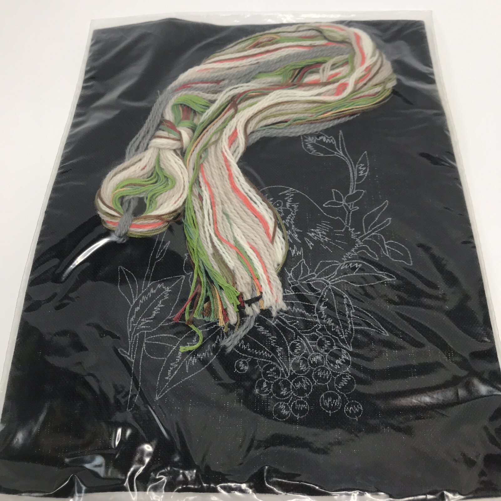 Janlynn Crewel Embroidery Stitchery Picture Kit "Birdies" Finished 9 x