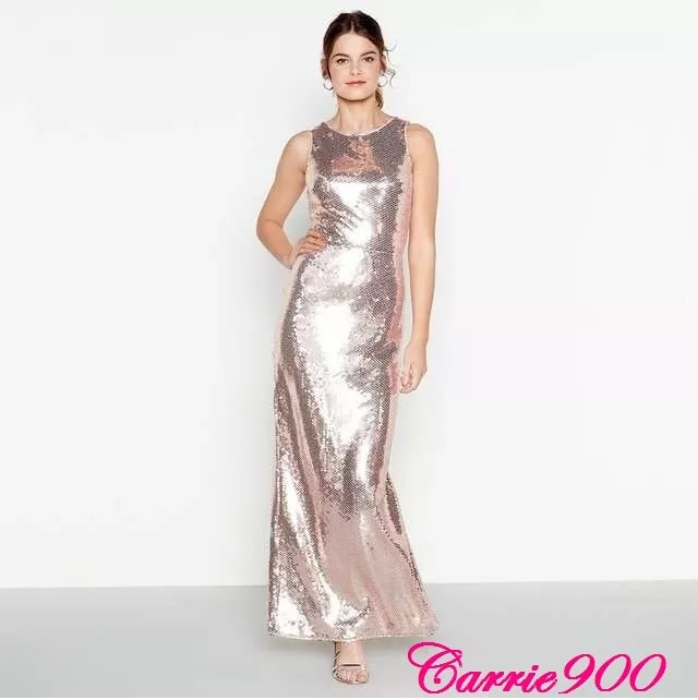Rose gold dress debenhams hot sale