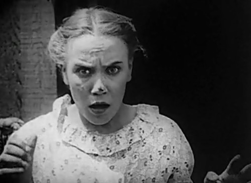 DVD Short Comedies II (1916-1926) with Louise Fazenda, Billy West, Oliver Hardy - Picture 3 of 8