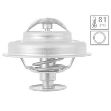 Thermostat Citroen C15
