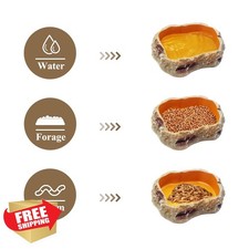 Reptile Bowl Set Food Water Dish Tongs Terrarium Gecko Frog Bearded Dragon