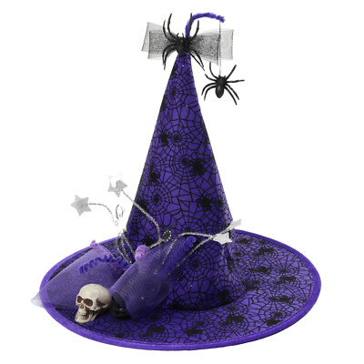 Halloween Witch Hat with Skull and Spider Web in Purple and Black