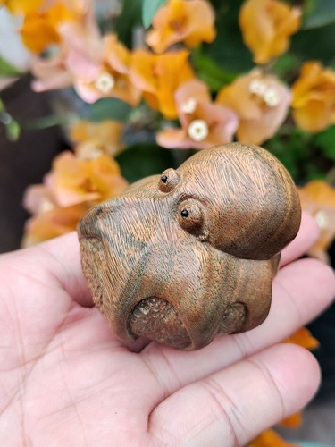 Netsuke de sándalo verde tallado a mano de 2" ZQ051-: hermoso pulpo - Imagen 7 de 9