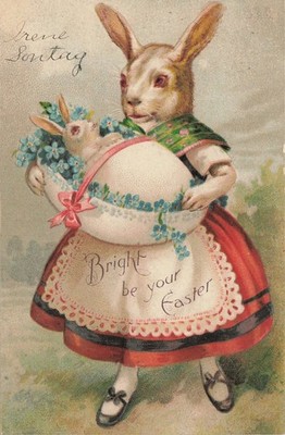 Vintage Easter Anthropomorphic Rabbit Postcard 1908 Embossed German Print