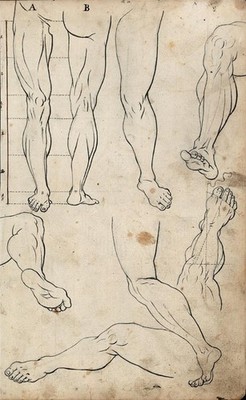 Bengt Frokenberg (1776-1845) - Feder & Tusche Zeichnung 18. Jahrhundert Anatomische Studien