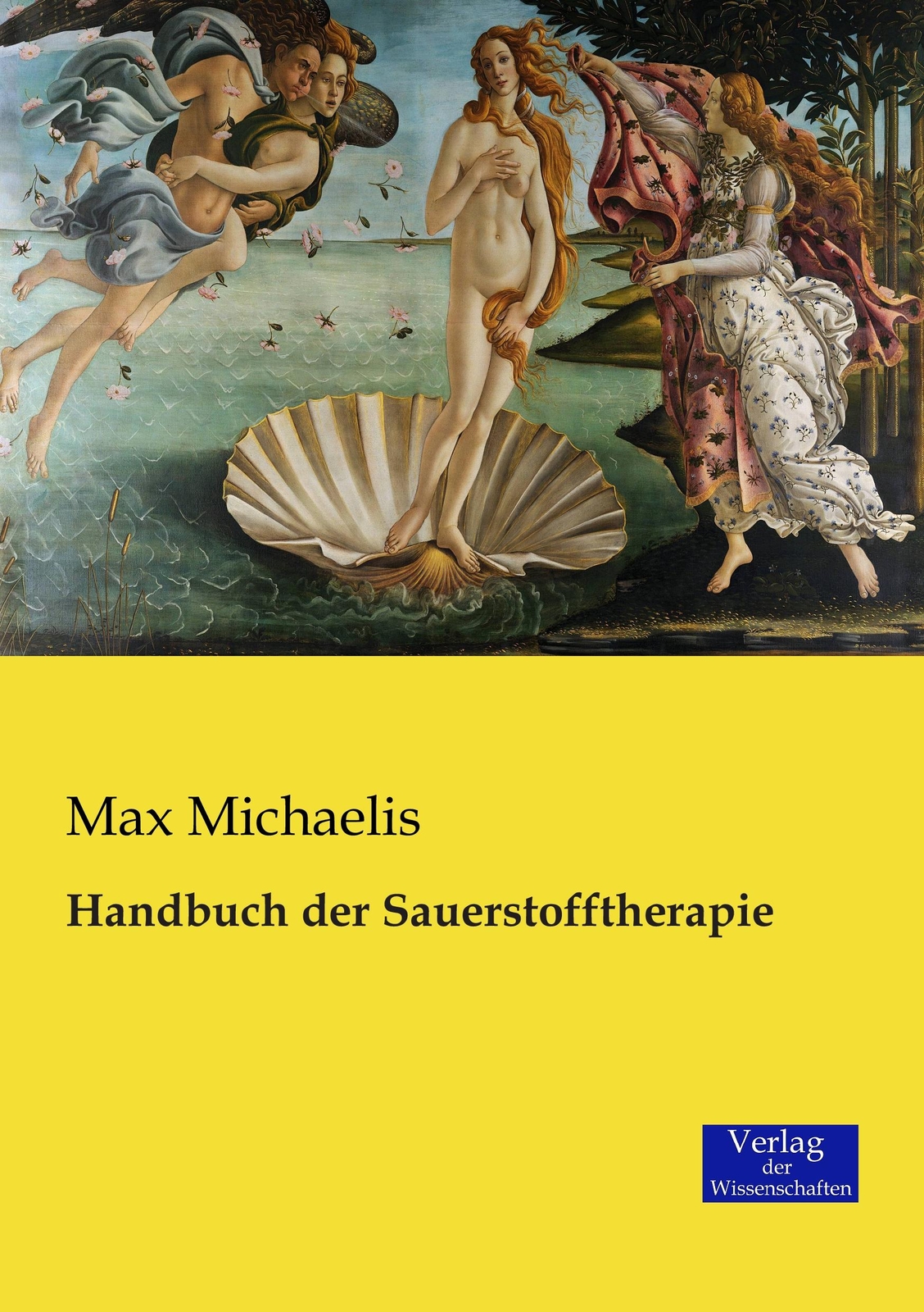 Handbuch Der Sauerstofftherapie | Buch | 9783957005625
