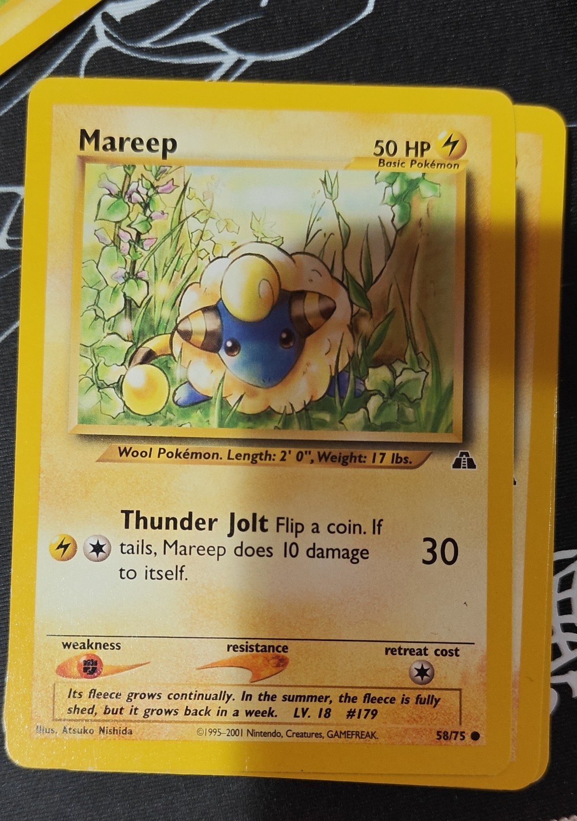 Mareep 58/75 Neo Discovery Regular