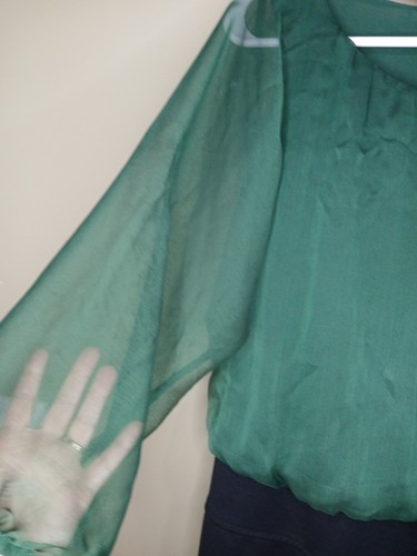 The Limited Size 10 Green Black Knee Length Dress Sheer Long Sleeve Side Zipper - Picture 4 of 9