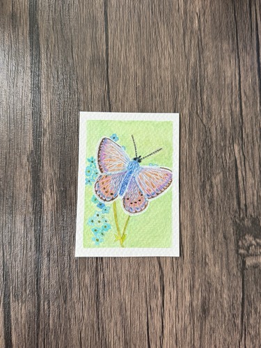 ACEO Original Butterfly, Insect, colorful,Watercolor By rosepaintsmini|2.5x3.5in