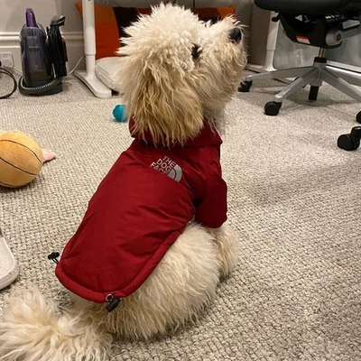 MARKENLOS Winter Pet Dog Waterproof Warm Coat Hooded Jacket Dog Face Reflective Pet Clothe