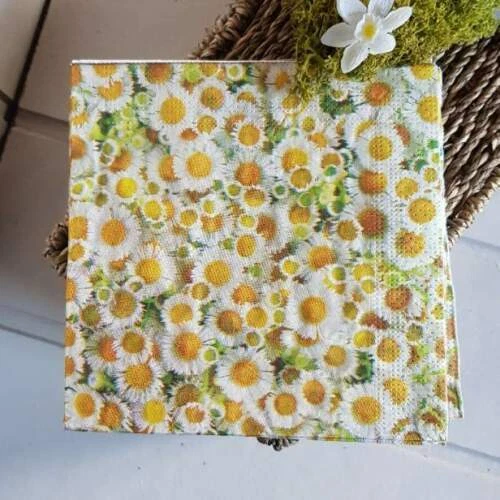 Gisela Graham Table Napkins