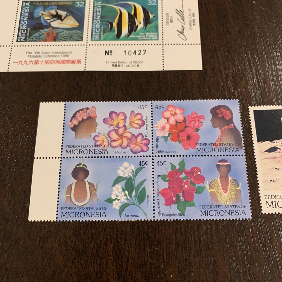 MICRONESIA MINT STAMP LOT INCLUDING BLOCKS AND A SHEET - Image 4 of 4