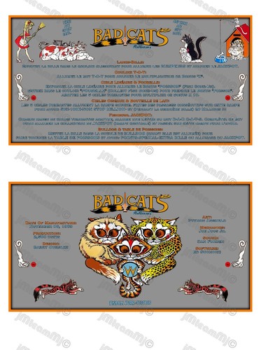 Williams Bad Cats 1989 FRENCH Cartes Instructions Flipper Custom