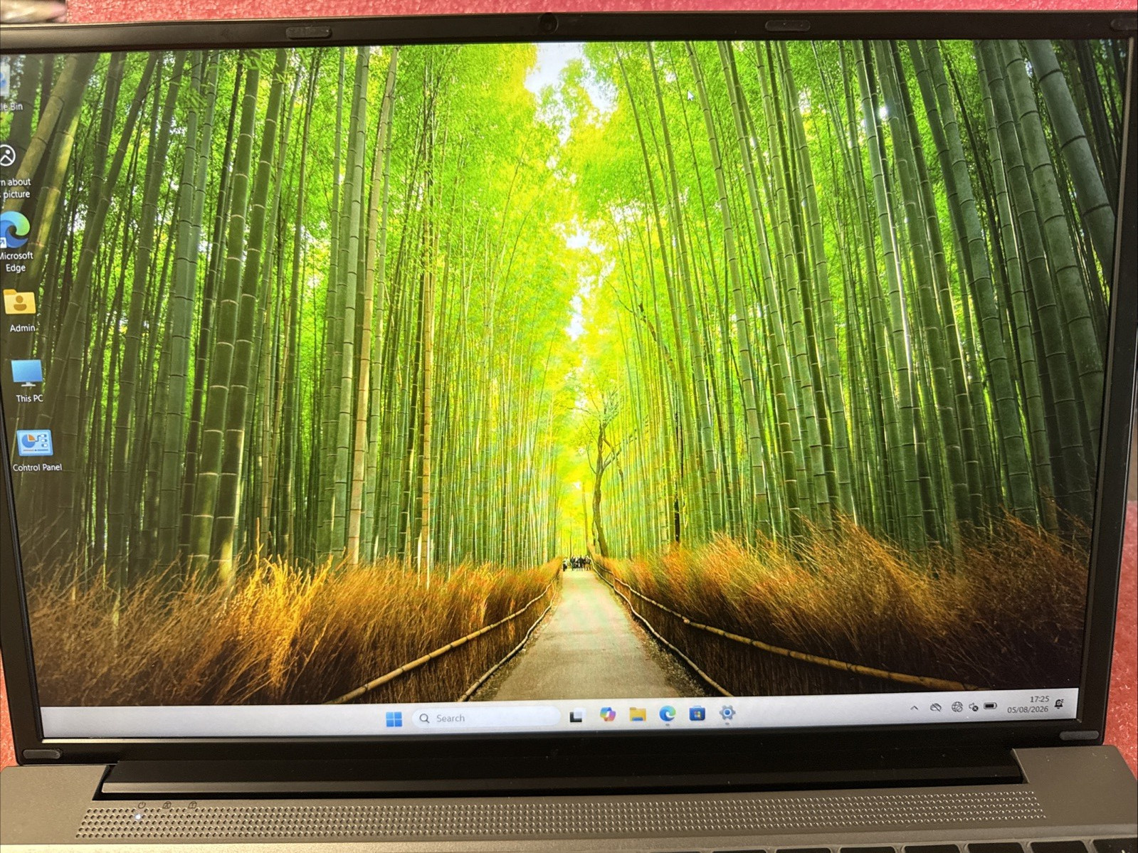 Picture 2