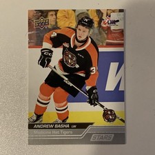 2023-24 Upper Deck CHL Hockey ANDREW BASHA Star Base #333 Medicine Hat Tigers