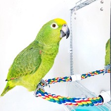 Cage Accessories Parakeet with Rope Perch Stand Parrot Toys Brid Mirror Swing