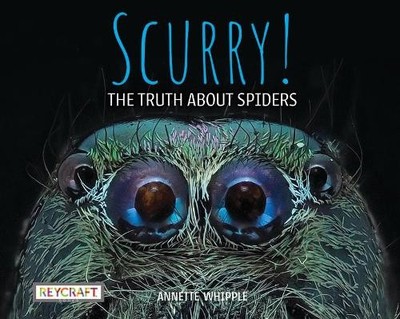 Annette Whipple Scurry! the Truth about Spiders (Hardback) (UK IMPORT)