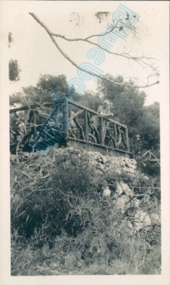 Tangier  Royal Palace Gardens  in 1935 4.5 x 2.75 inch original photo p2