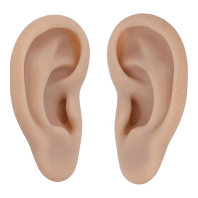 1Pair Silicone Ear Model Soft Flexible Simulation Ear Model for Earrings Display