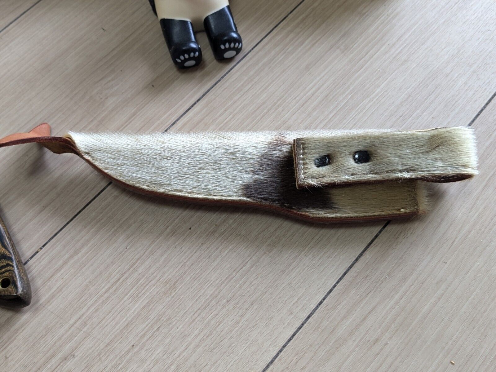 Bild 8 von 12