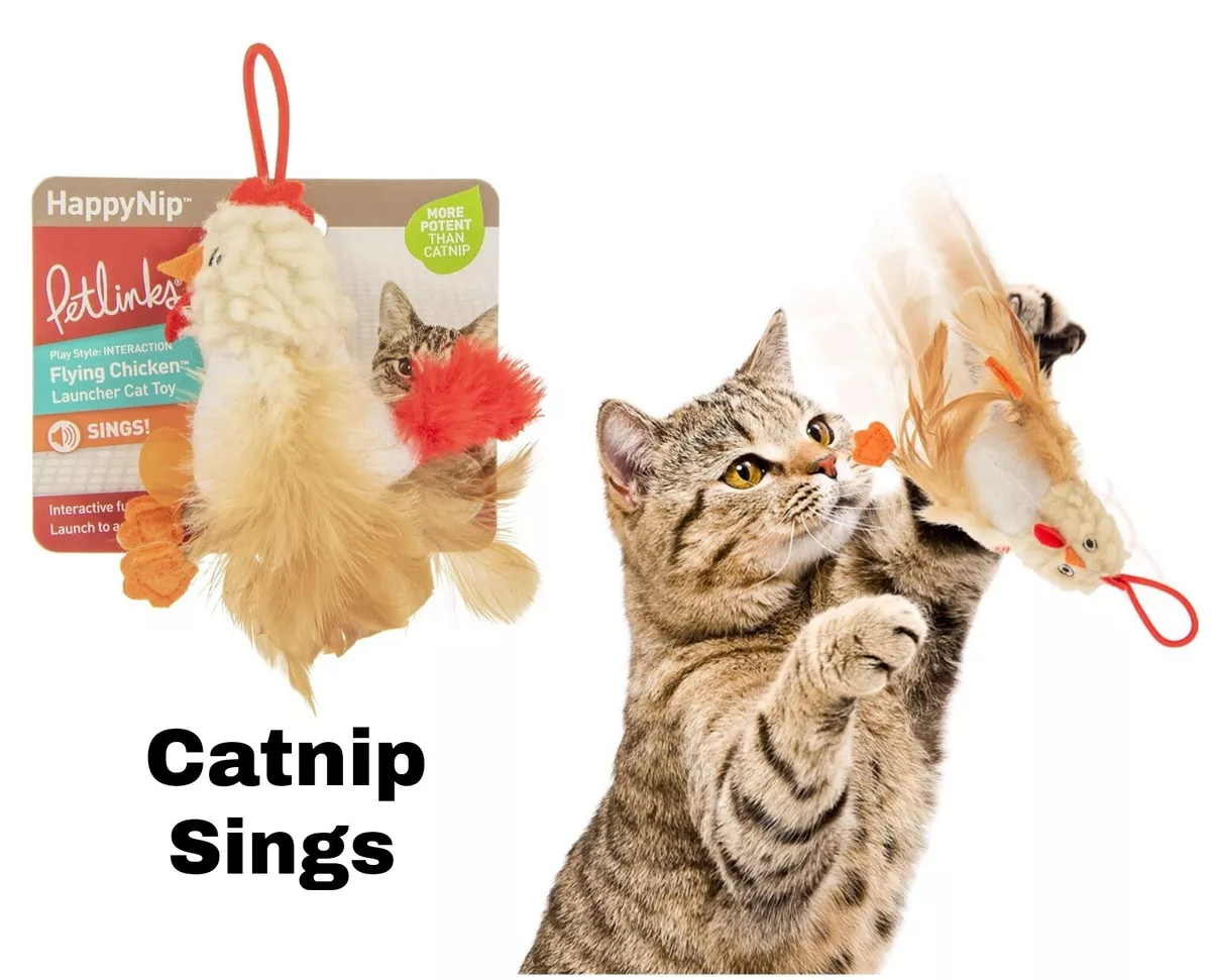 Petlinks toys hot sale