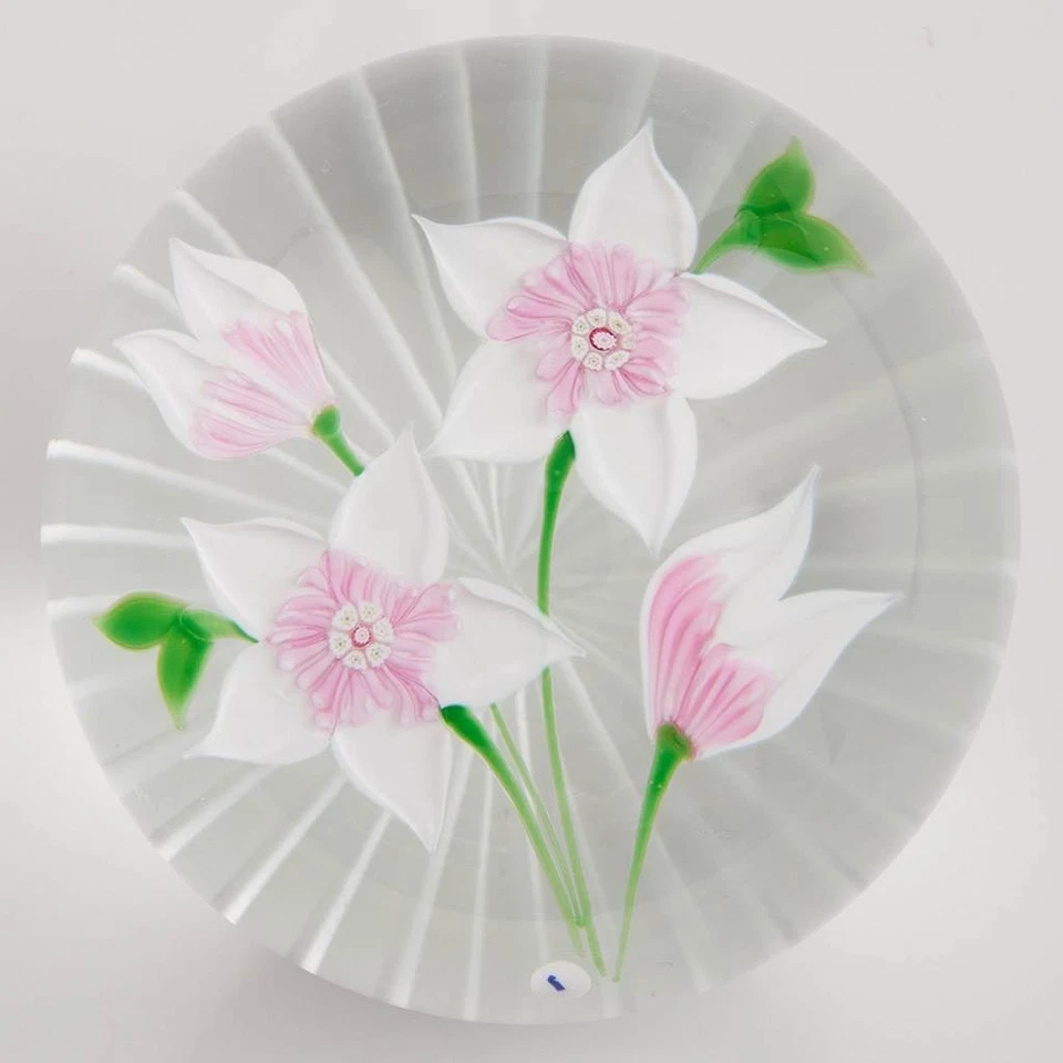 Flores de Candida de Caithness Whitefriars Foto 2 de 4