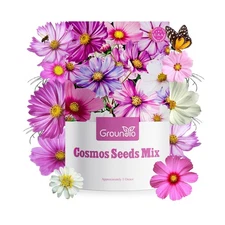 Cosmos Seeds Wildflower Mix, 1 Oz, 3,000+ Seeds, 4 Varieties Flowers Seeds fo...