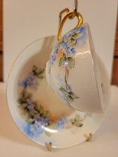 Sevres Bavaria Porcelain Teacup & Saucer with Pink Floral Pattern